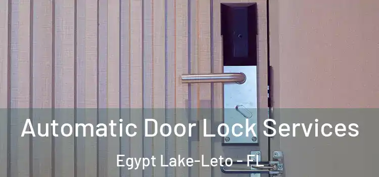 Automatic Door Lock Services Egypt Lake-Leto - FL