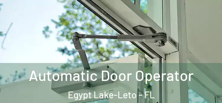 Automatic Door Operator Egypt Lake-Leto - FL
