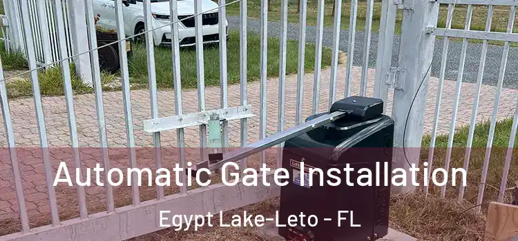 Automatic Gate Installation Egypt Lake-Leto - FL
