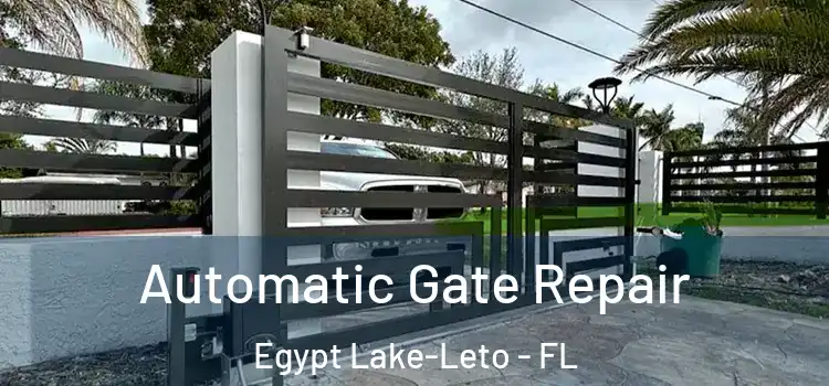 Automatic Gate Repair Egypt Lake-Leto - FL