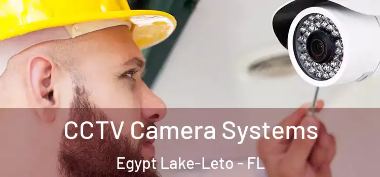 CCTV Camera Systems Egypt Lake-Leto - FL