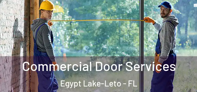 Commercial Door Services Egypt Lake-Leto - FL