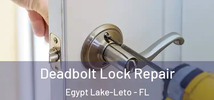 Deadbolt Lock Repair Egypt Lake-Leto - FL