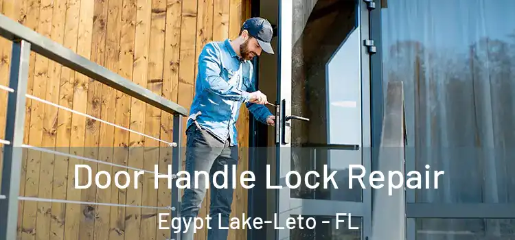 Door Handle Lock Repair Egypt Lake-Leto - FL