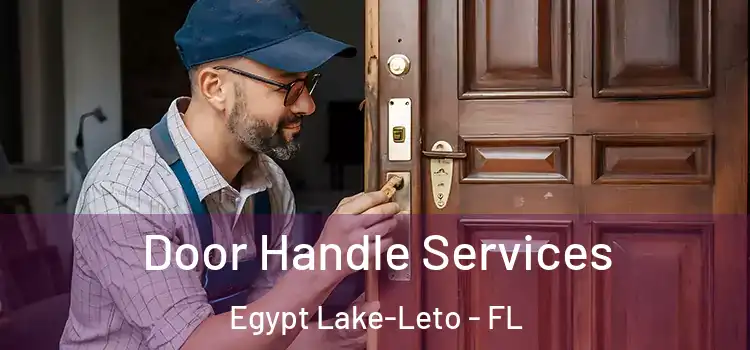Door Handle Services Egypt Lake-Leto - FL