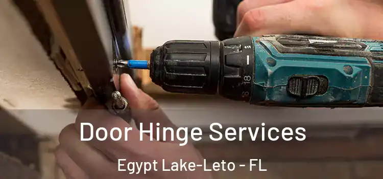 Door Hinge Services Egypt Lake-Leto - FL