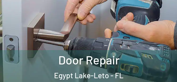 Door Repair Egypt Lake-Leto - FL