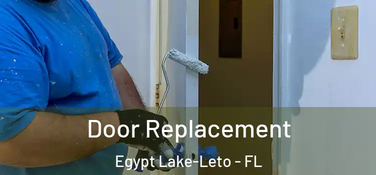 Door Replacement Egypt Lake-Leto - FL