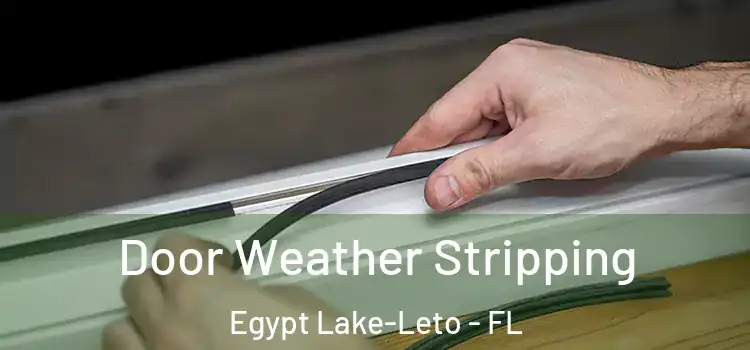 Door Weather Stripping Egypt Lake-Leto - FL