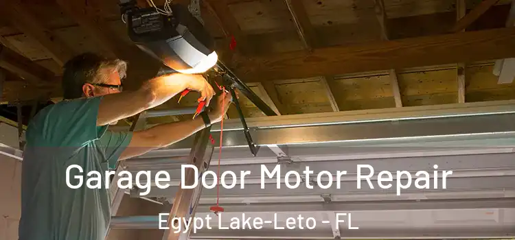  Garage Door Motor Repair Egypt Lake-Leto - FL