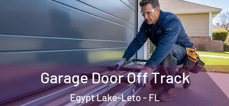  Garage Door Off Track Egypt Lake-Leto - FL