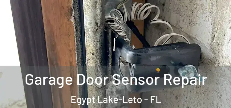 Garage Door Sensor Repair Egypt Lake-Leto - FL