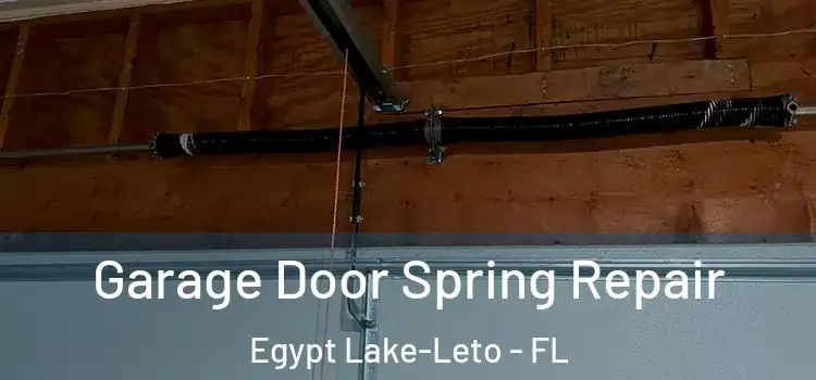  Garage Door Spring Repair Egypt Lake-Leto - FL