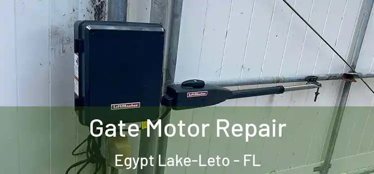 Gate Motor Repair Egypt Lake-Leto - FL