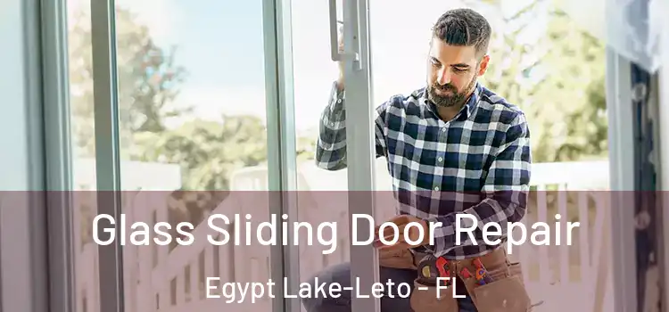  Glass Sliding Door Repair Egypt Lake-Leto - FL