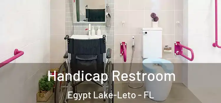 Handicap Restroom Egypt Lake-Leto - FL