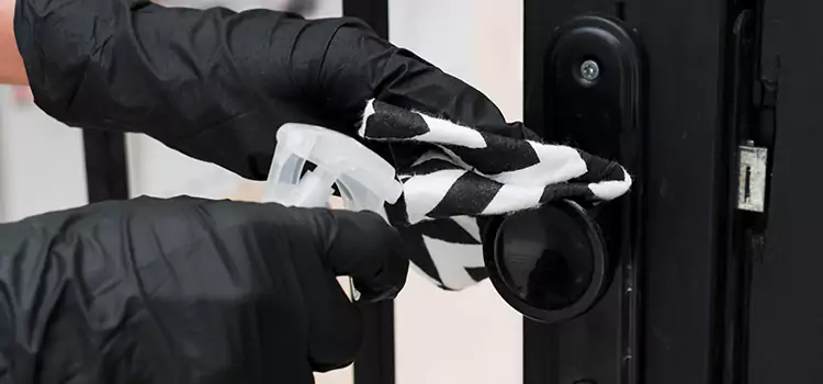 24 Hour Mobile Locksmith Egypt Lake-Leto