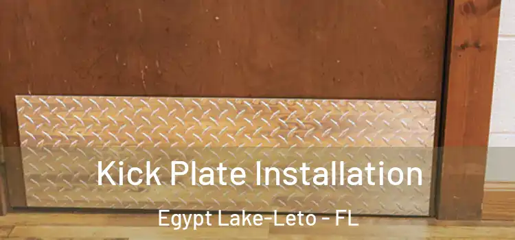 Kick Plate Installation Egypt Lake-Leto - FL