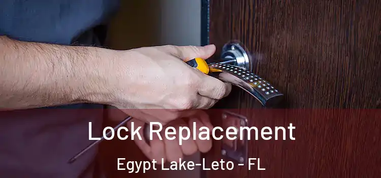 Lock Replacement Egypt Lake-Leto - FL