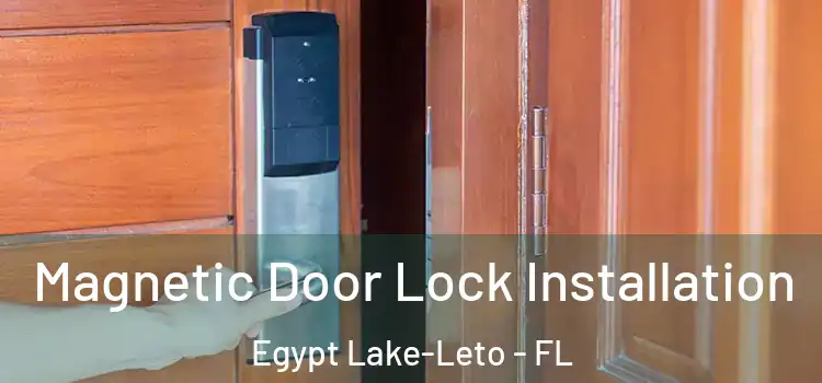  Magnetic Door Lock Installation Egypt Lake-Leto - FL