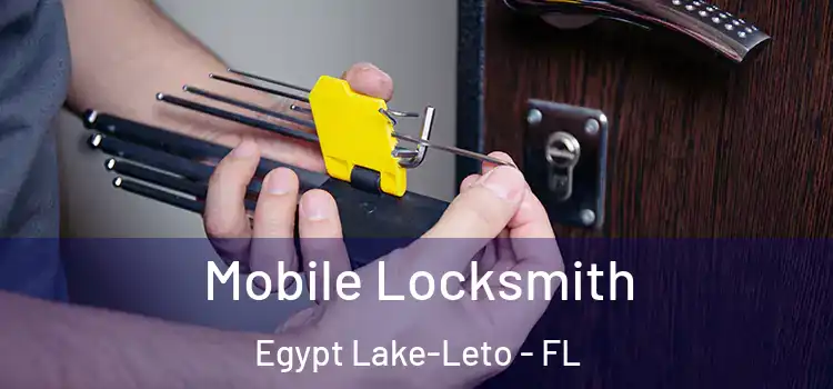 Mobile Locksmith Egypt Lake-Leto - FL