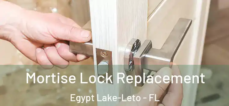 Mortise Lock Replacement Egypt Lake-Leto - FL