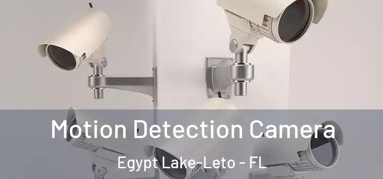  Motion Detection Camera Egypt Lake-Leto - FL