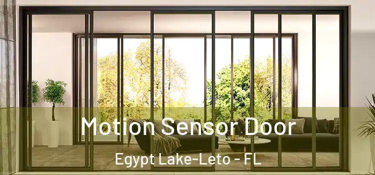 Motion Sensor Door Egypt Lake-Leto - FL