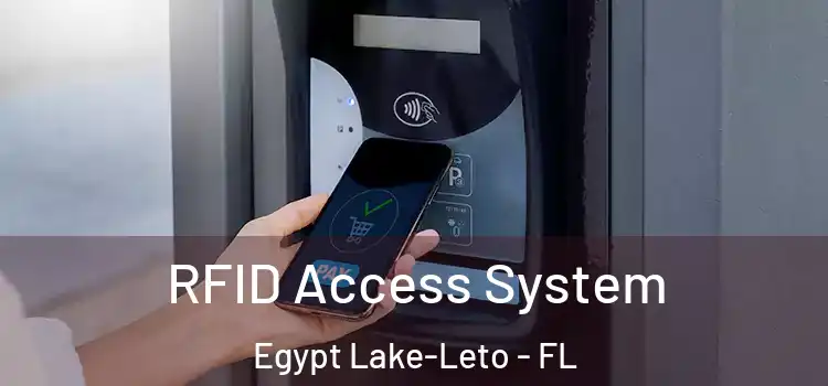 RFID Access System Egypt Lake-Leto - FL