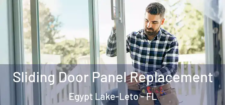  Sliding Door Panel Replacement Egypt Lake-Leto - FL