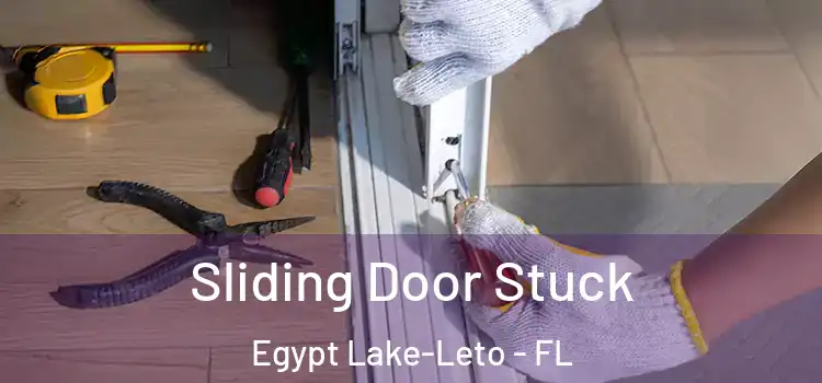Sliding Door Stuck Egypt Lake-Leto - FL