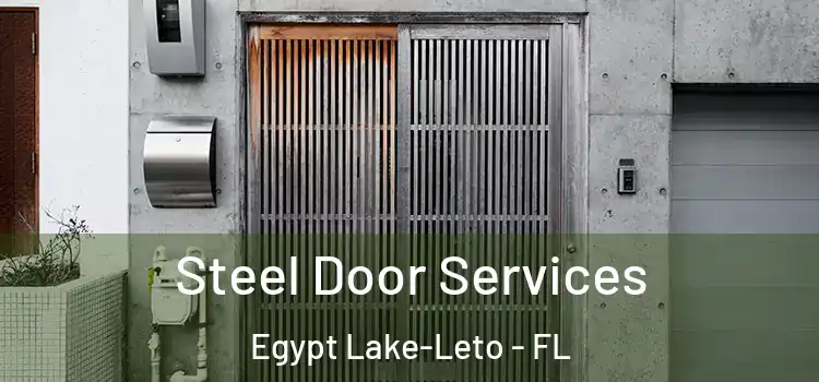 Steel Door Services Egypt Lake-Leto - FL