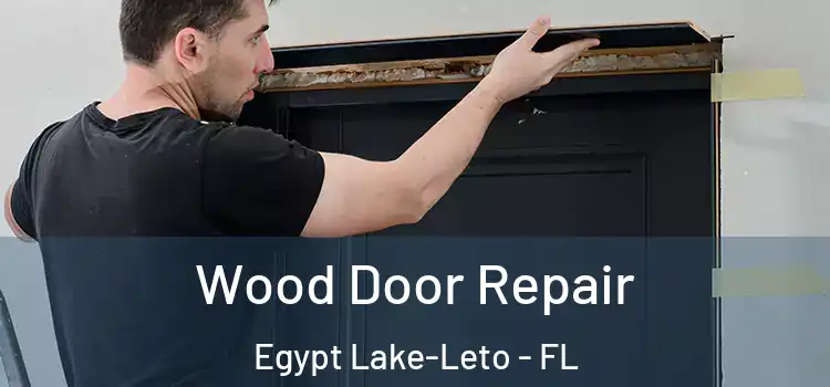  Wood Door Repair Egypt Lake-Leto - FL